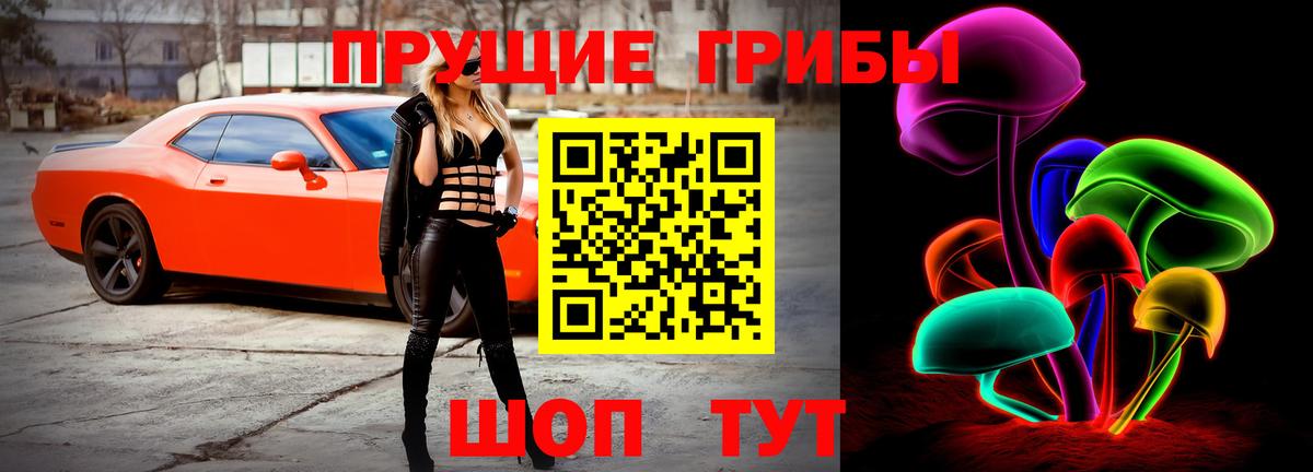 Красноуфимск  Псилоцибиновые грибы Psilocybine cubensis  как найти закладки  Вход с VPN 